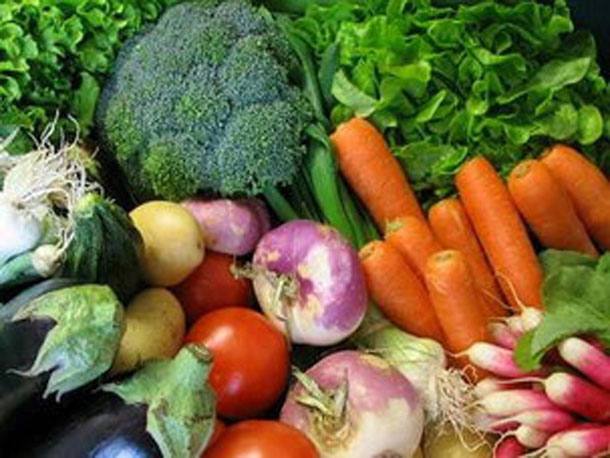 Légumes bio producteur de la ferme Atelier des Papilles Haute-Saône Montbozon Produits locaux