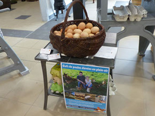 Oeufs frais producteur de la ferme Atelier des Papilles Haute-Saône Montbozon Produits locaux